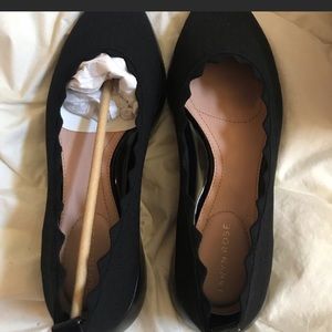 Pointed toe Flat shoes